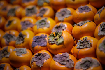 persimmon