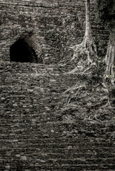View of the overgrown Mayan temple of Dzibanche on the Yucatan Peninsula of Mexico.