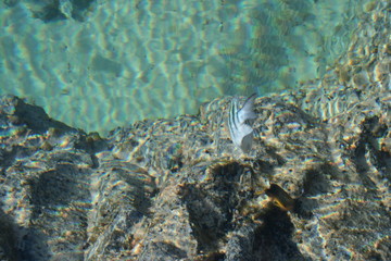 Fernando de Noronha, Brasil