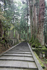 Obraz premium 夕方の高野山奥之院参道のお地蔵さま