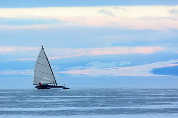 Fototapeta premium Buer on ice at sunset