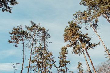 Obraz premium my photos