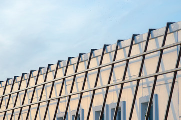 Big Ladder on The Wall