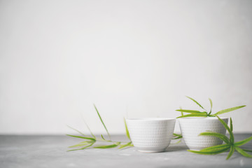 Asian food background set with  green tea cups with free space for text on white background.