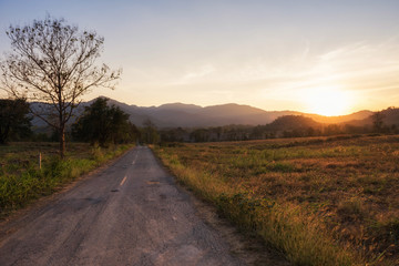 Fototapeta na wymiar sunset scenics on country road