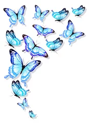 Stof per meter Vlinders mooie blauwe vlinders, geïsoleerd op een witte
