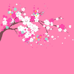 Obraz na płótnie Canvas cherry branch,flowers tree , on a white
