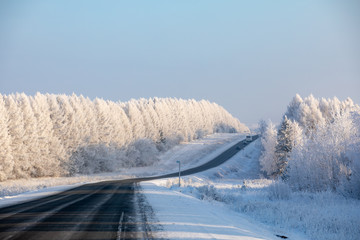 Winter road. Black highway goes through a white snow-covered forest. Frosty winter day