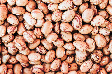 Beans background (Phaseolus) – food for veggies