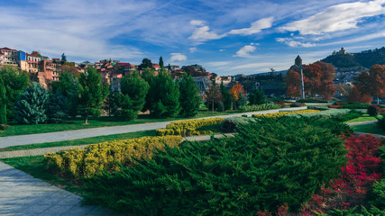 Fototapeta na wymiar Beautiful green park on a sunny autumn day. 2018, Tbilisi, Georgia.
