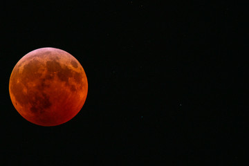 Super Blood Wolf Moon