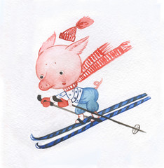 hand drawn watercolor character/fun piggy skiing