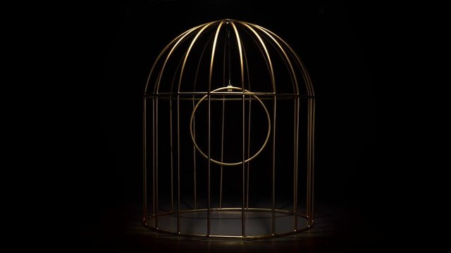 Rotating design in the form gold cage of the in a black background