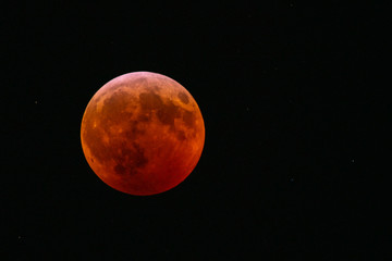 Super Blood Wolf Moon