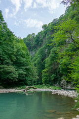 Fototapeta premium Green forest on the shore of a mountain river with turquoise wate with cliffs on a clear summer day