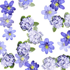 Beautiful floral background of liverwort and hyacinth 