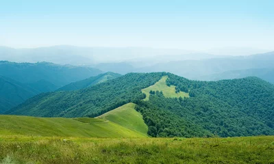 Wall murals Hill panorama with sunny day on top of green Carpathian mountains range with blue sky, empty landscape background, high resolution