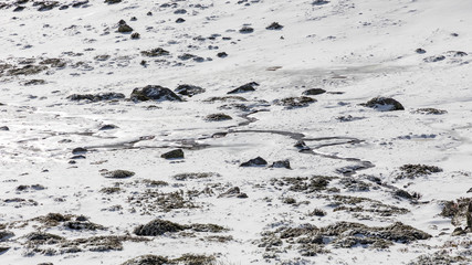 Way of ascent to the lagoons of Peñalara in the mountain range of Madrid covered by snow.