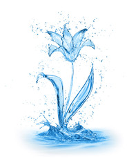 flower made of water splashes isolated on white background