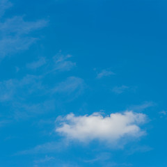 Fototapeta na wymiar A panorama of white clouds on a blue sky