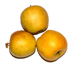 yellow apples on white background