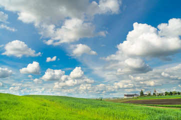 green field and blue sky