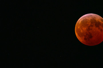 Super Blood Wolf Moon