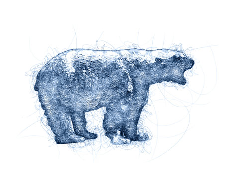 Angry Bear Ballpoint Pen Doodle Illustration