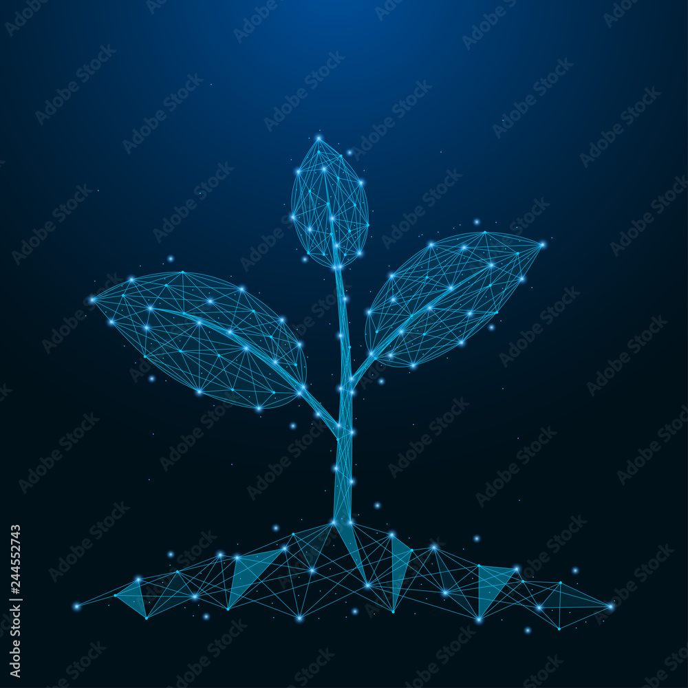 Poster sprout of plant made by points and lines. low poly blue seedling. polygonal wireframe mesh on night 