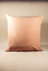 Beige pillow on a white velvet sofa