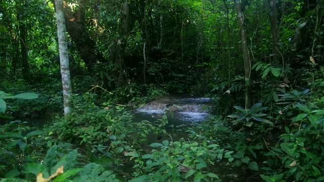 limestone cascade in the fertile tropical rain forest