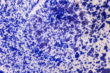 Chaotic pattern of blue spots on the surface of a ceramic plate, background
