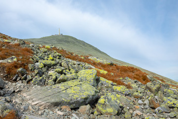 Fototapeta premium Gaustatoppen Trek