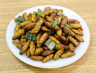 Deep Fried Coconut Worms on A White Dish