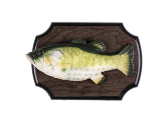 decorative fish on the board