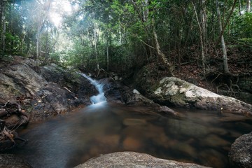Naklejka na ściany i meble Mountain stream in the rainforest.
