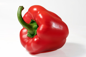 red pepper on a white background