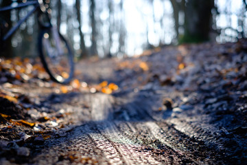 Mountain bike tyre tracks