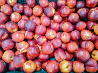 White fresh nectarine close. Early in the morning at the farmers market. Colorful background with fruit. similar to apples peaches and plums