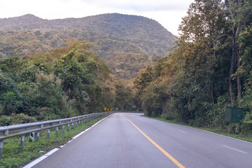 Country highway curved in green forest through the mountains