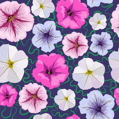 Seamless background from petunia flowers.  Floral pattern.