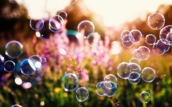 beautiful natural background with summer clear green meadow with pink flowers and soap bubbles brightly shimmer and fly in the air at lilac sunset