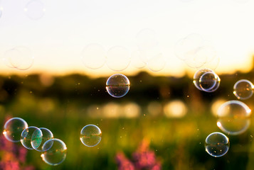 summer clear green meadow green grass and flowers and soap bubbles brightly shimmer and Shine in the air at sunset