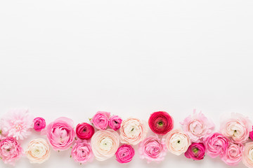 Beautiful colored ranunculus flowers on a white background.Spring greeting card.