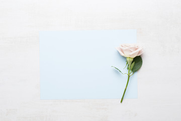 Flowers composition. Frame made of pink rose on gray background. Flat lay, top view, copy space.