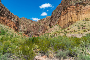 Burro Mesa Cove