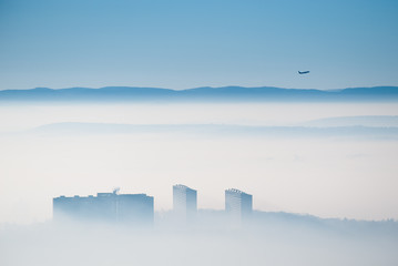 Stuttgart Asemwald in sunny fog