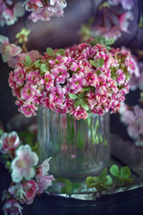 Lovely bunch of flowers. Pink Kalanchoe flowers on the table. 