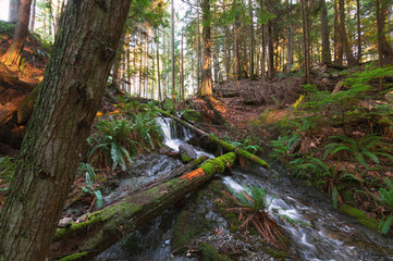 The beautiful and stunning scenery of the West Coast and Pacific North West of British Columbia Canada Fine art photography