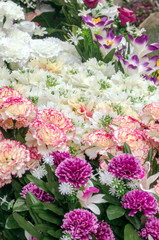Obraz na płótnie Canvas Background of bouquets of various colors